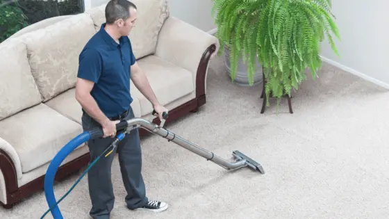 65c1113dc62bb55db27eedf3_steam_carpet_cleaning_service