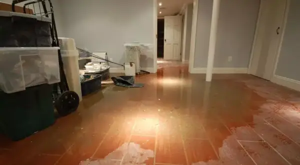 flood.waterdamage